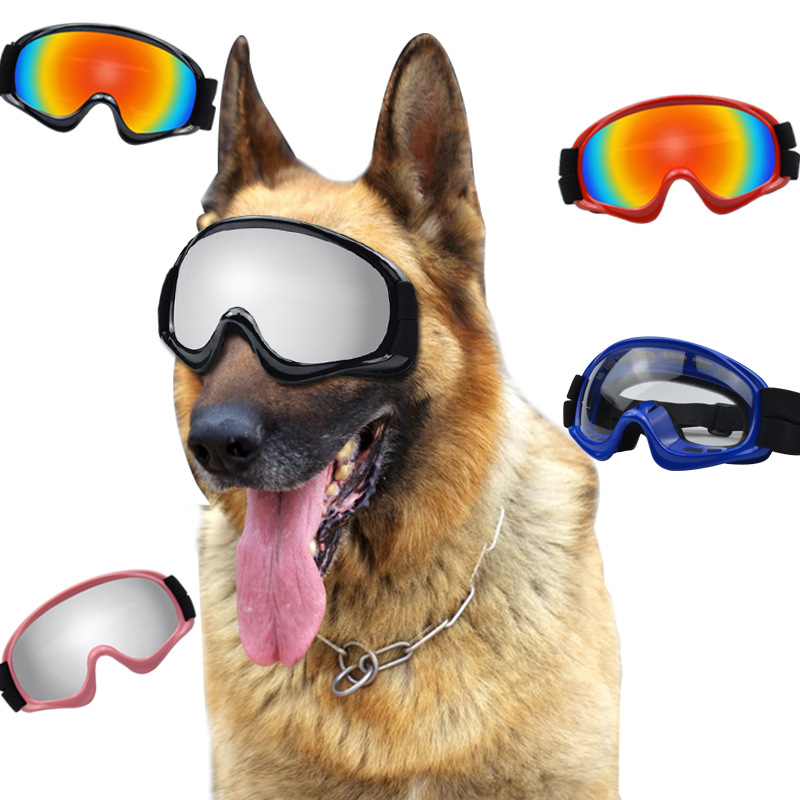 Produtos para Animais de Estim - Snow Goggle Uv avaliação e preço