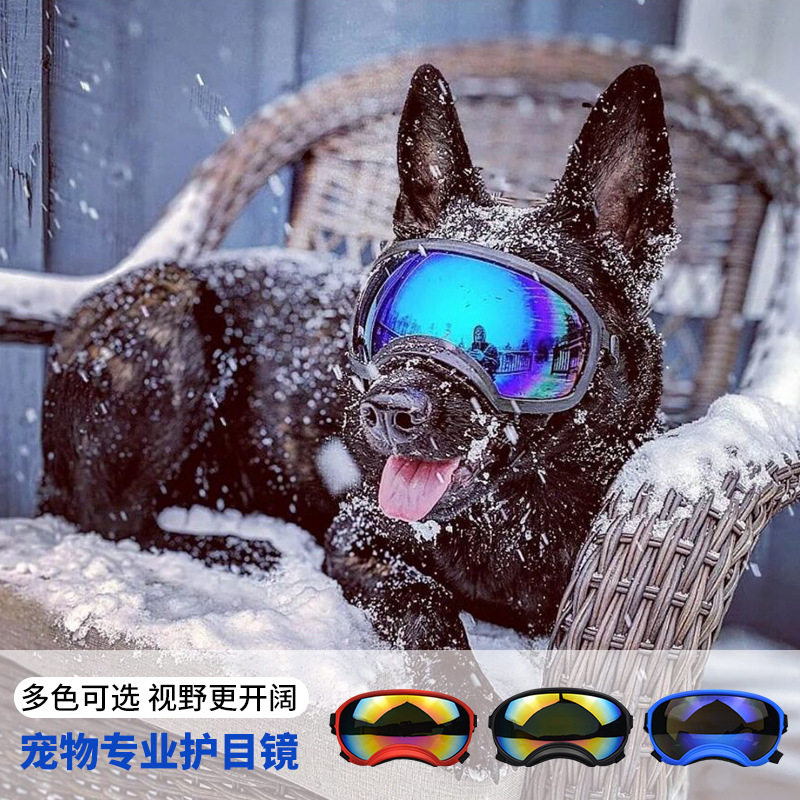 Óculos de Proteção para Cães p - Snow Goggle Uv avaliação e preço